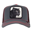 Cap Panther Nights Online now