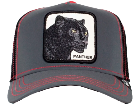 Cap Panther Nights Online now