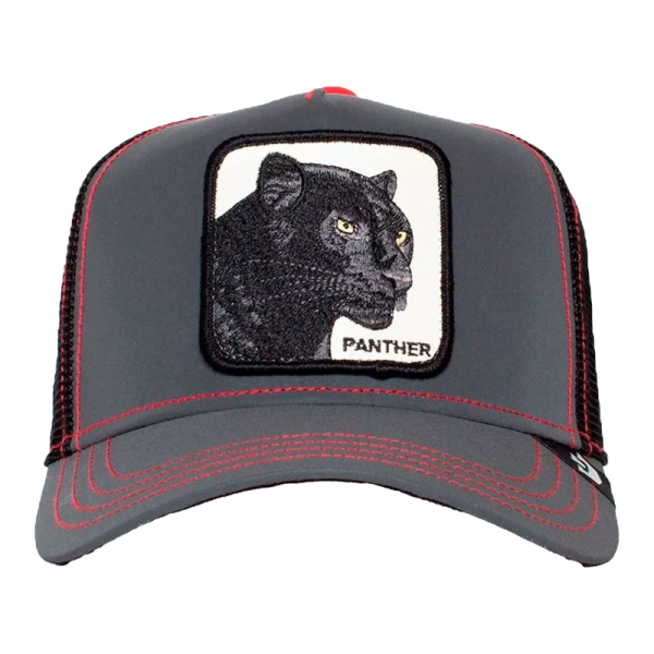 Cap Panther Nights Online now