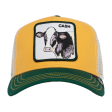 Cap The Cash Cow Yellow Online now