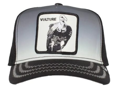 Cap Back off Buzzard Online now