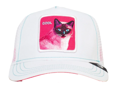 Cap Kitty Trip For Discount