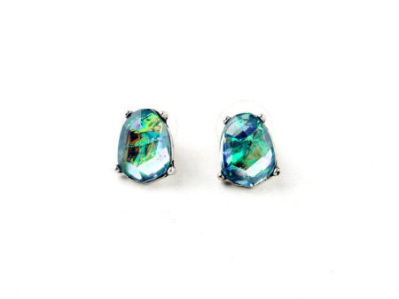 Abalone Earring Studs Online