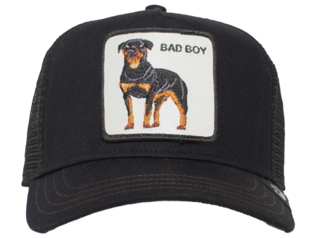 The Baddest Boy - Black Online now